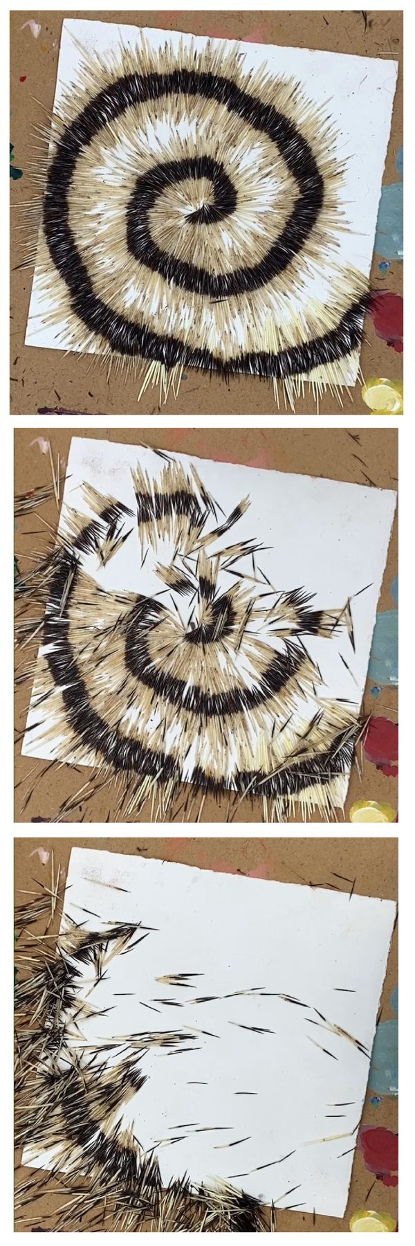 quill still 4